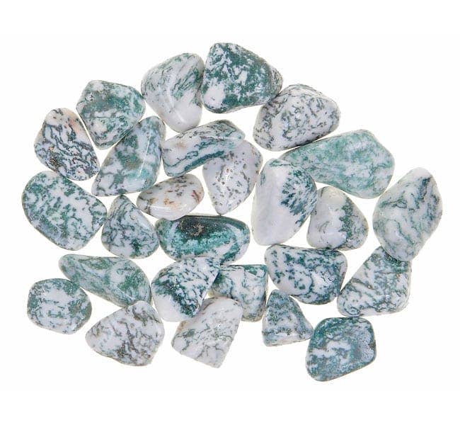 Tree Agate Tumbled Stones