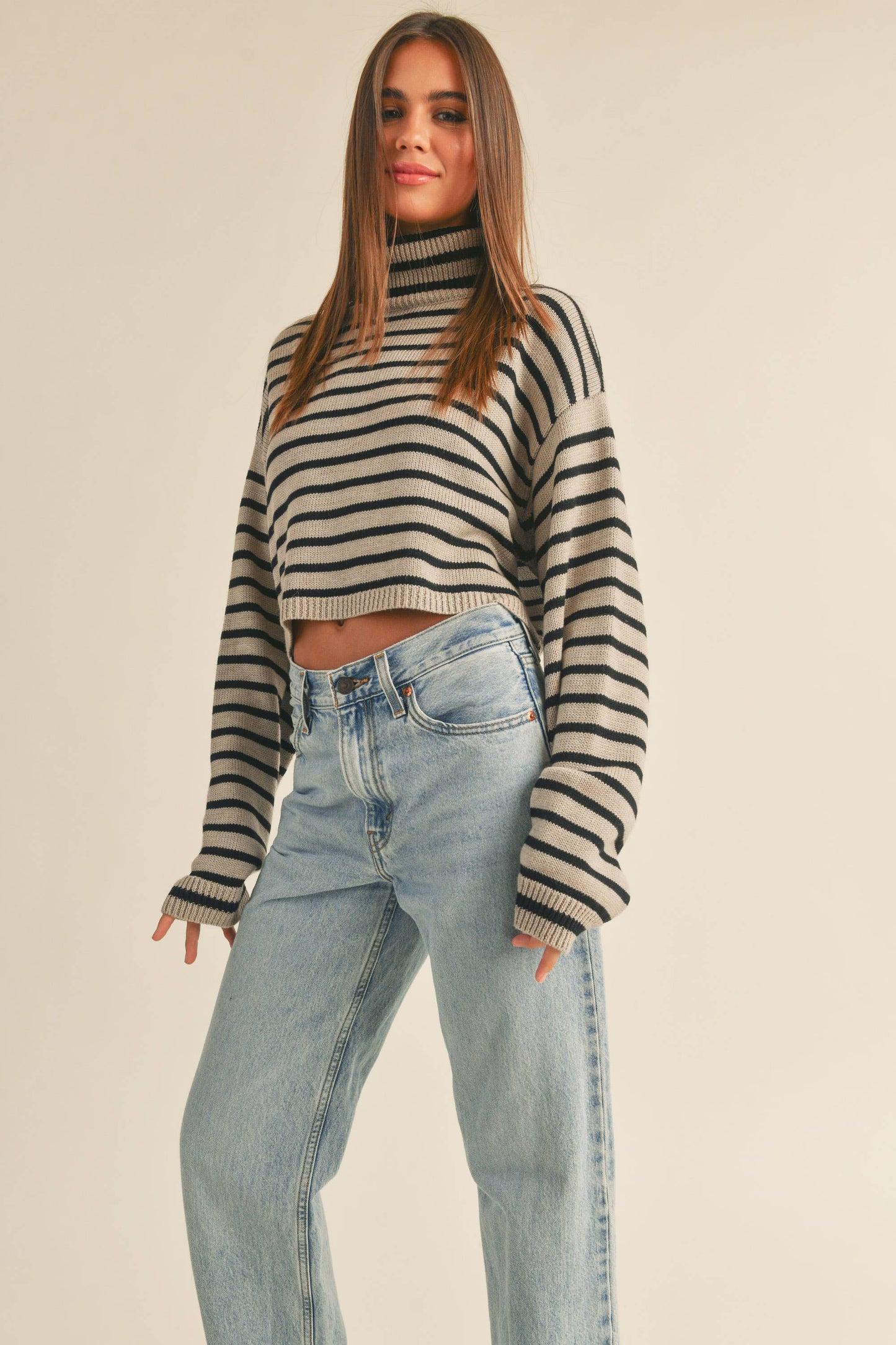 STRIPED TURTLE NECK CROP SWEATER TOP