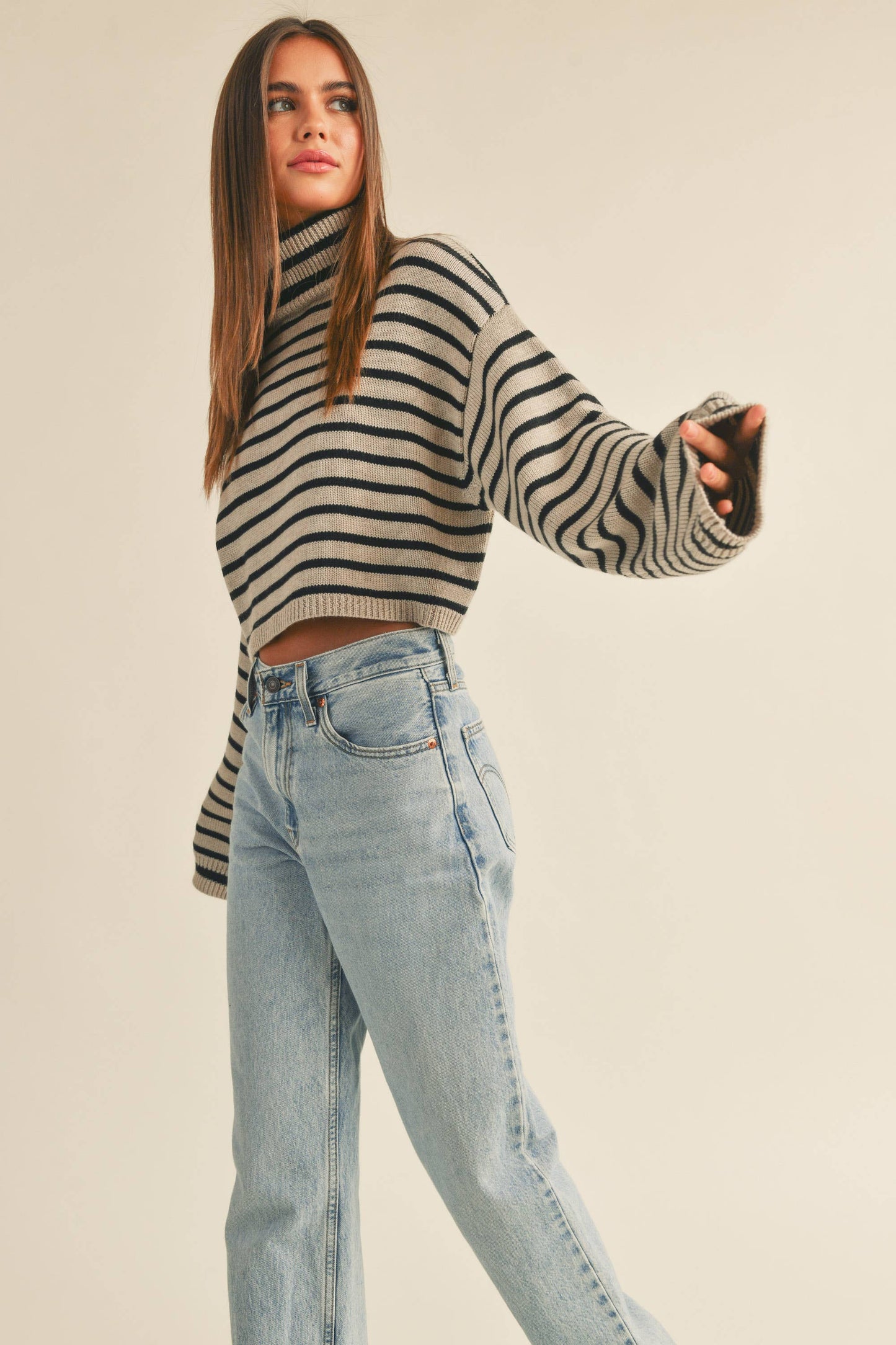 STRIPED TURTLE NECK CROP SWEATER TOP