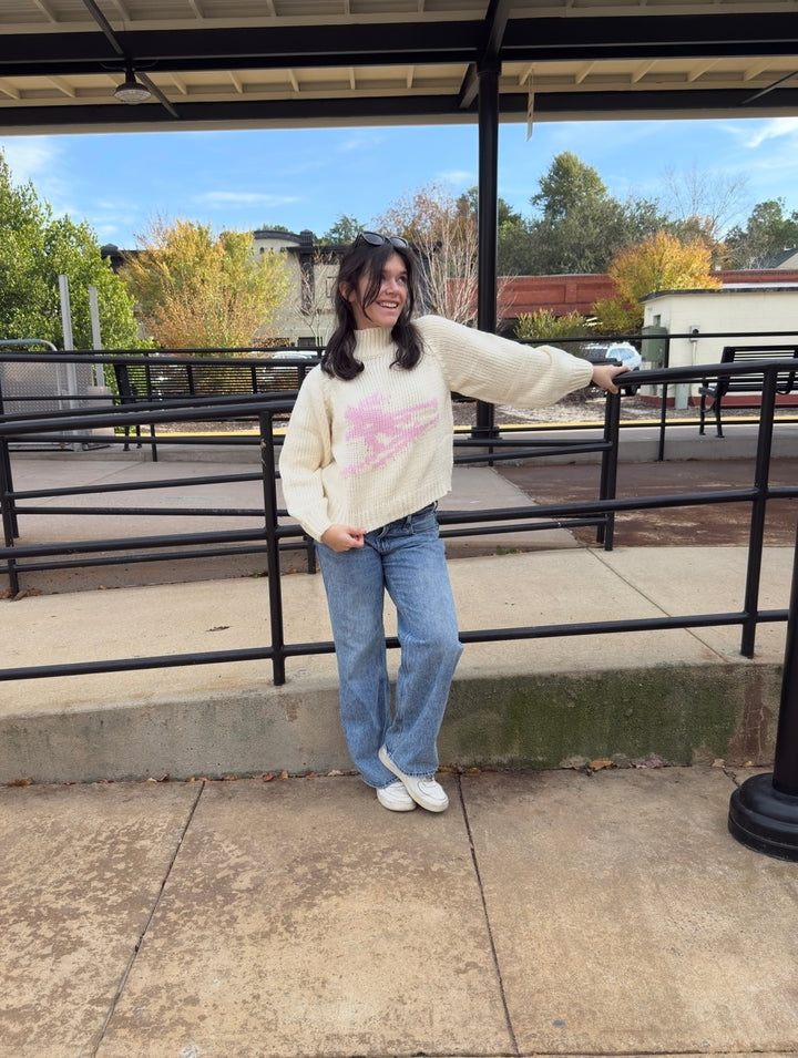 Ski Turtle Neck Sweater