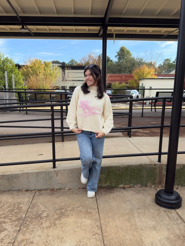 Ski Turtle Neck Sweater